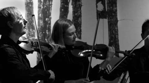 Niseko Music Festival1