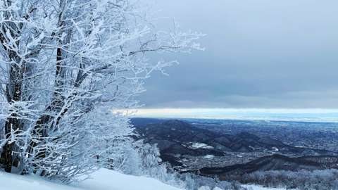 Yes Hokkaido Header