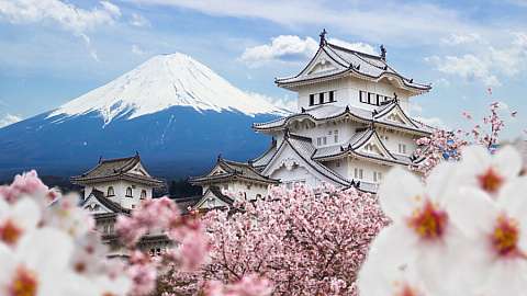 Japan Travel Campaign