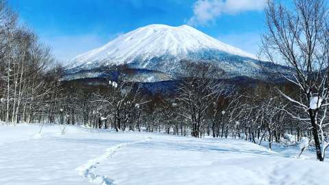 Yotei footsteps