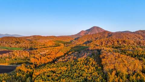 Autumn 1