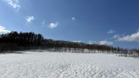 Hana Yotei Spring Snow