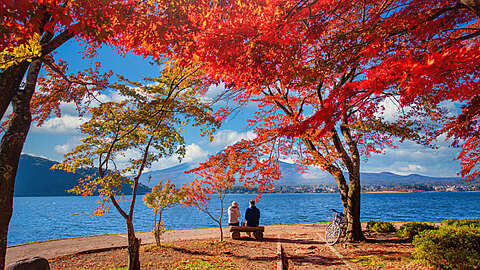 Japan September Autumn