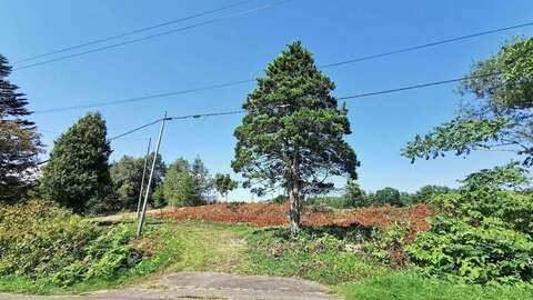 Kondo Hilltop3