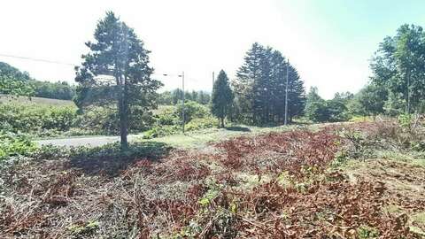 Kondo Hilltop5
