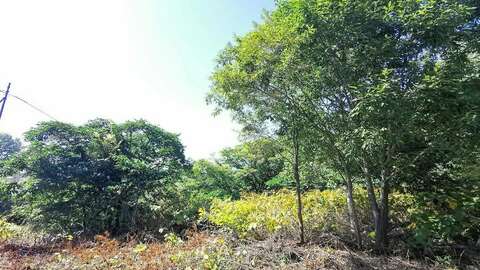 Kondo Hilltop9