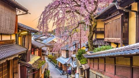 Kyoto springtime Lonely Planet