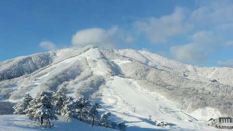 Madarao Header