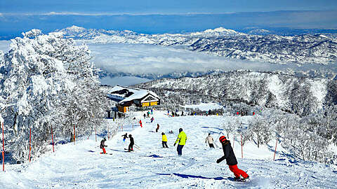 Nagano Office Ski Photo