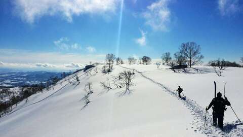 Snow Niseko backcountry