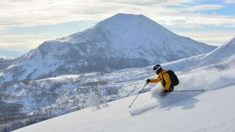 Niseko Japow Skier