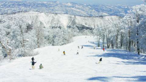 Nozawa Ski min 1