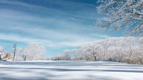 Nozawa Winter Scenery 2