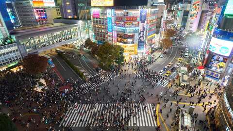 Shibuya Crossing Night
