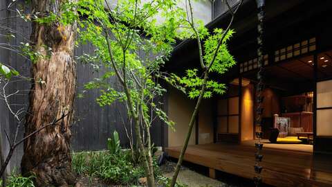Shiki Images5