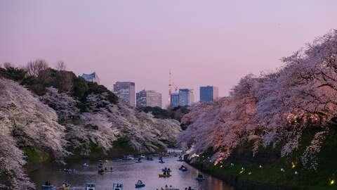 Water Hanami