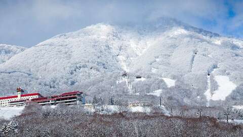 Destination myoko top