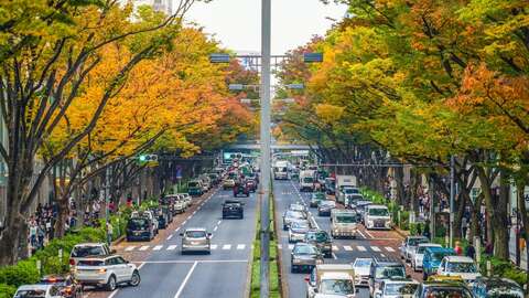 Omotesando