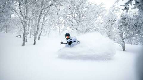 Powder snow ski unsplash