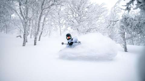Powder snow ski unsplash