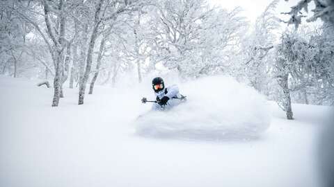 Powder snow ski unsplash