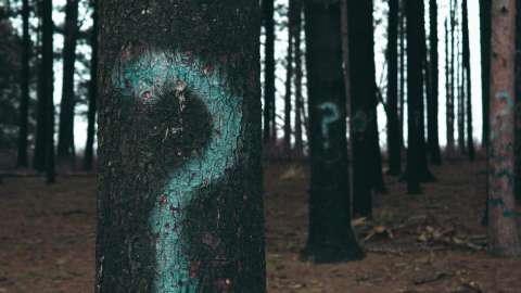 Questionmark unsplash