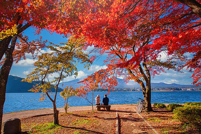 5 Reasons Why You Need To Visit Japan's… | Uchi: Japan Real Estate