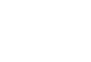 2025 Lyra Logo2 logo