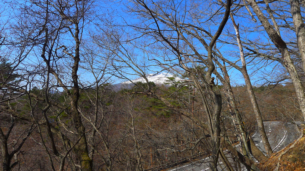 1,023 sqm Elevated Woodland Lot with Views of Mount Asama