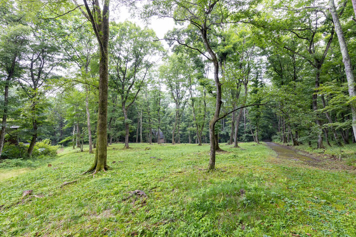 Karuizawa House-Build Site: 3,115sqm