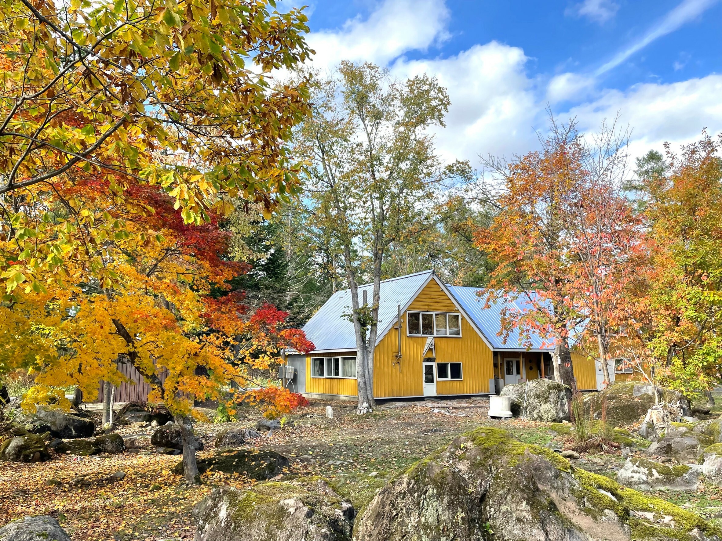 Shirogane Blue Pond Gallery House