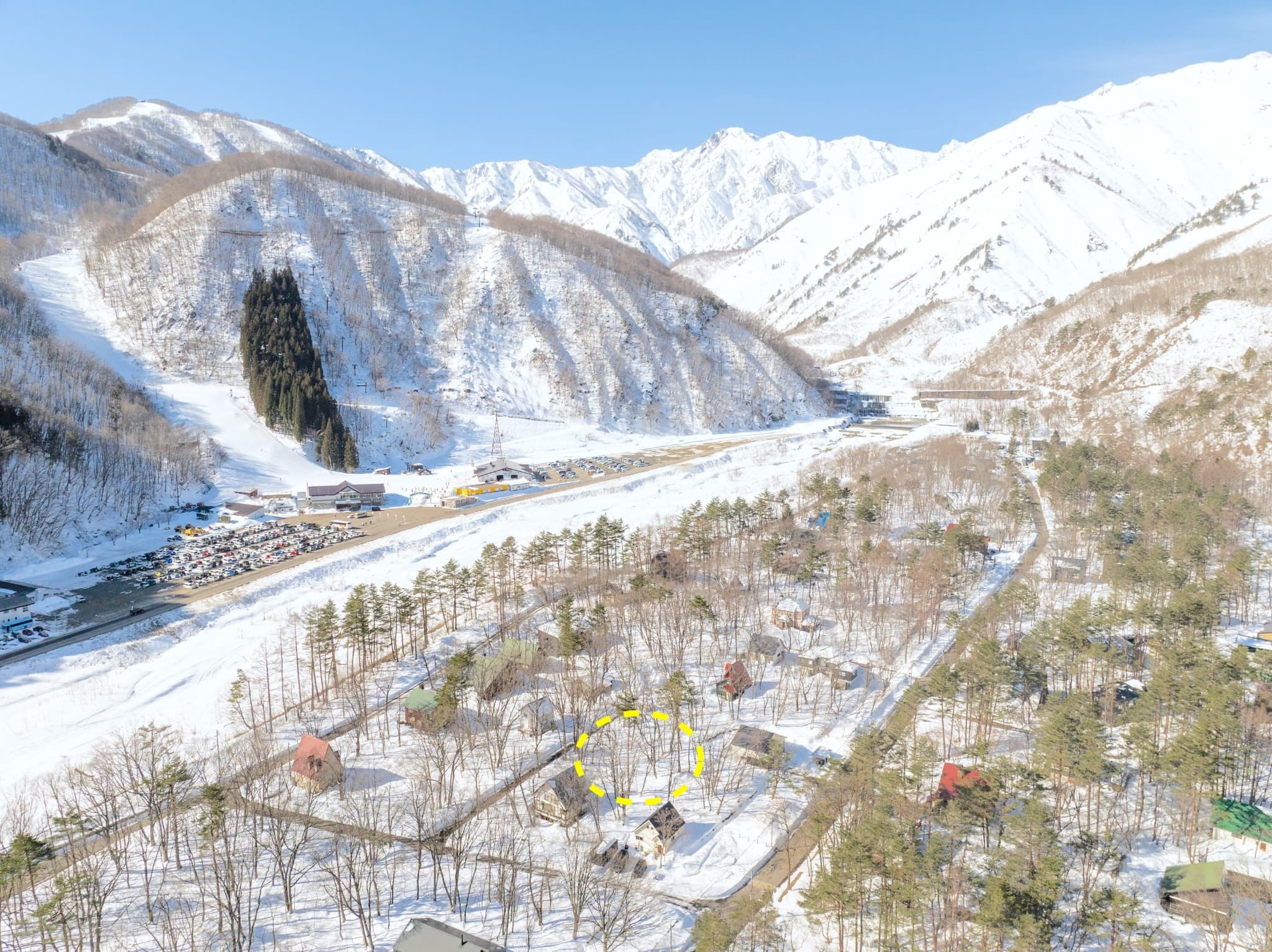Tranquil Misorano Forest Land