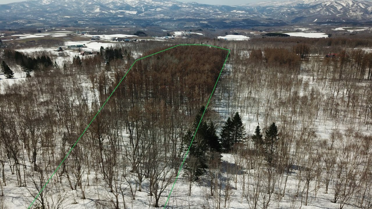 Large Annupuri Development Land Over 3 Titles