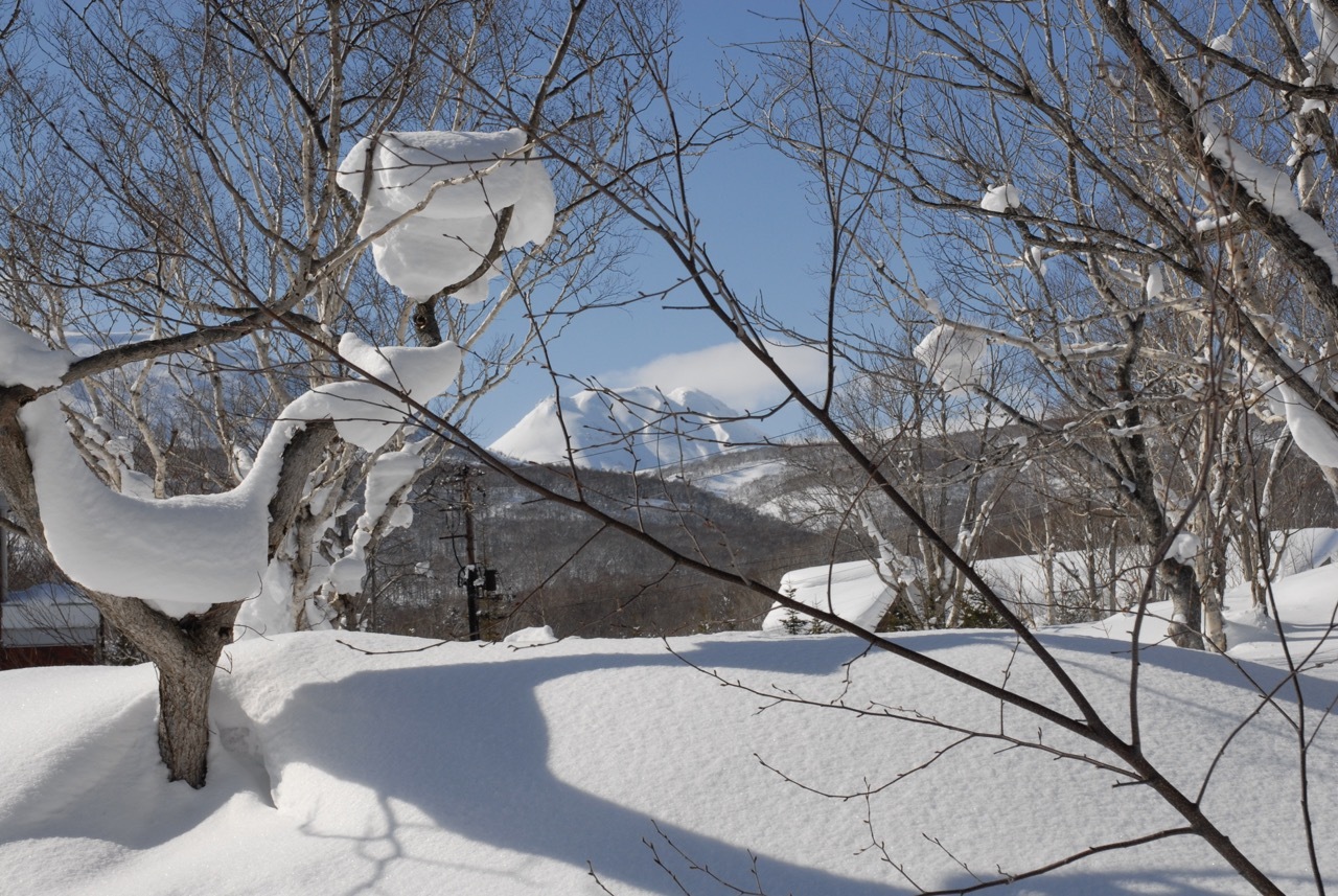 Triple Villa Plot - The Best in Hanazono