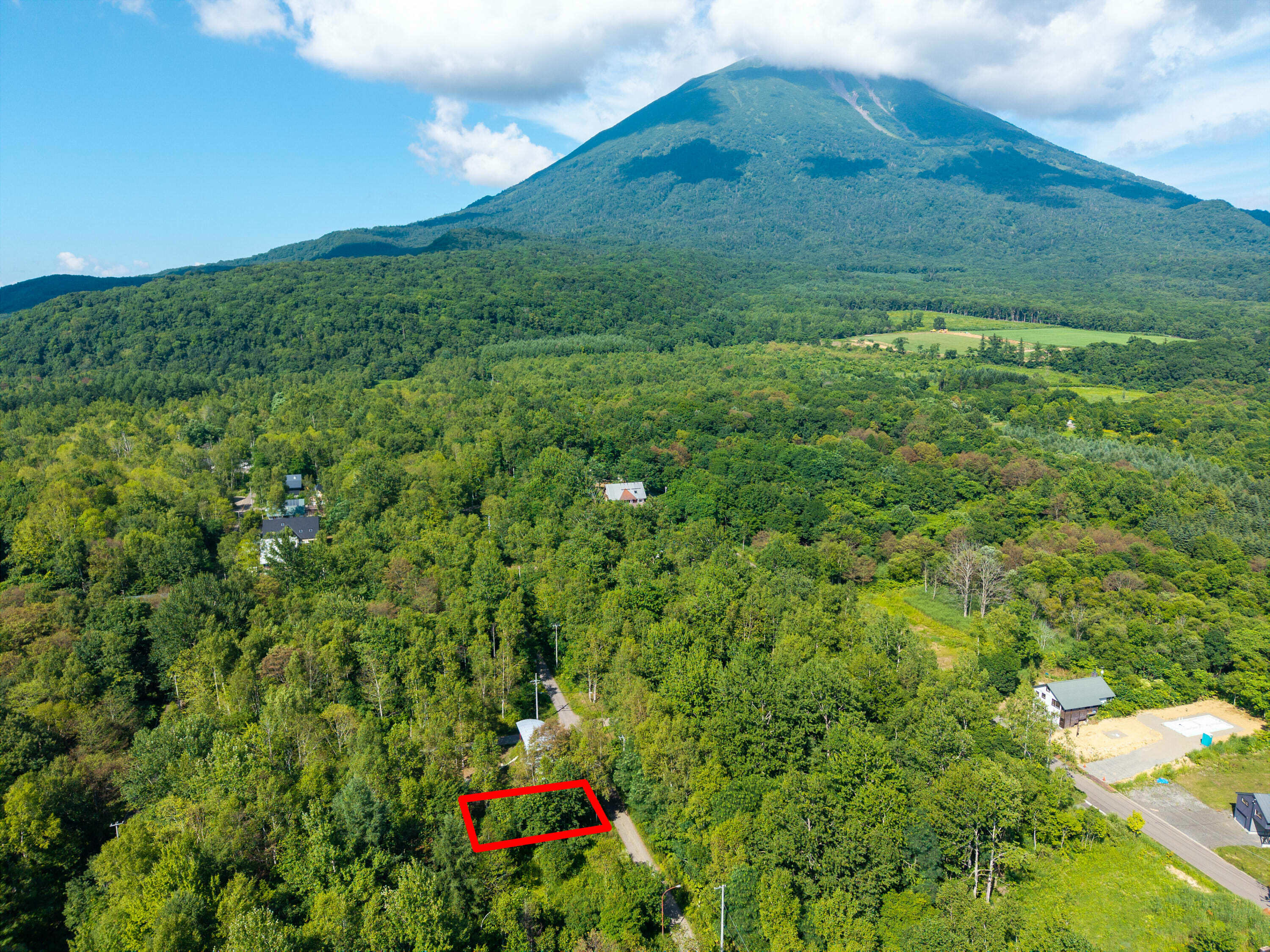 Beautiful Kondo Forest Land