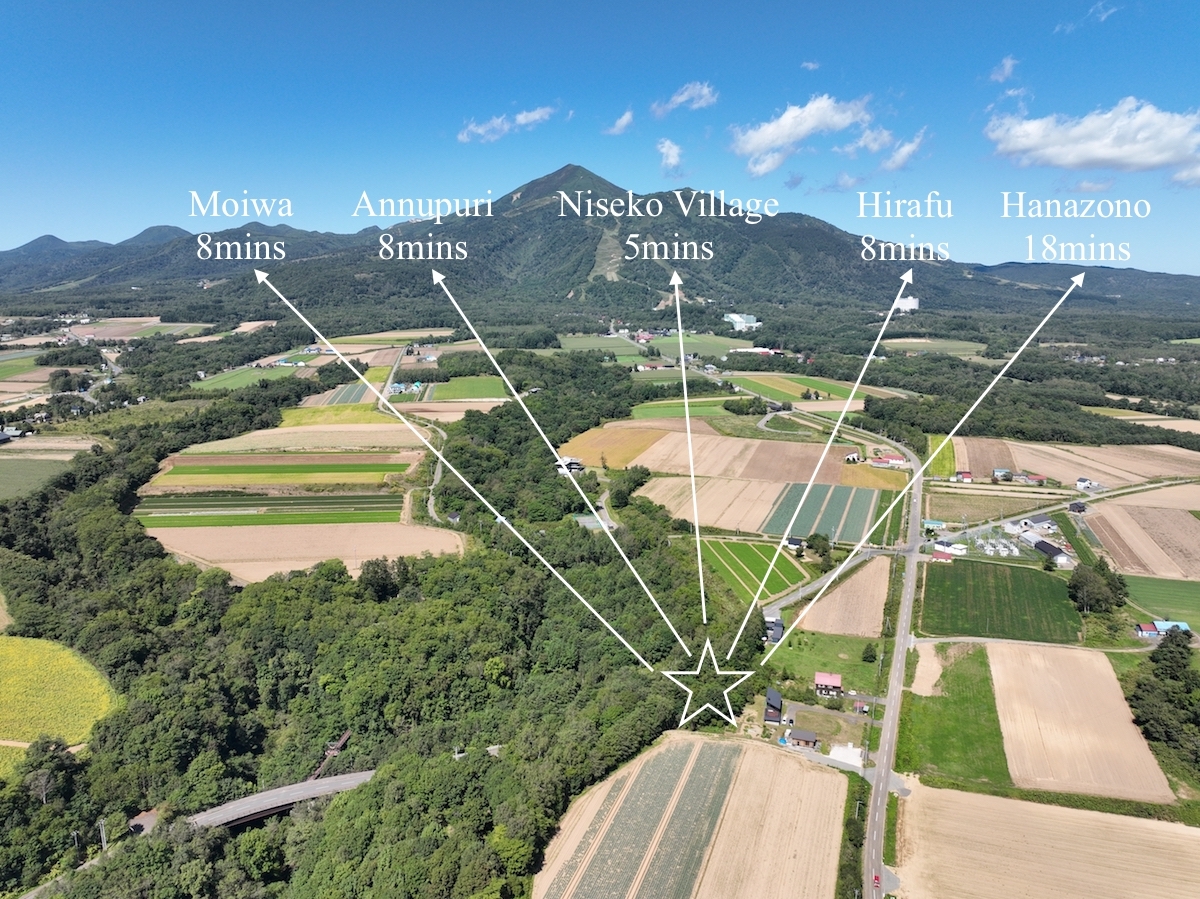 Sakura Tree Land Soga