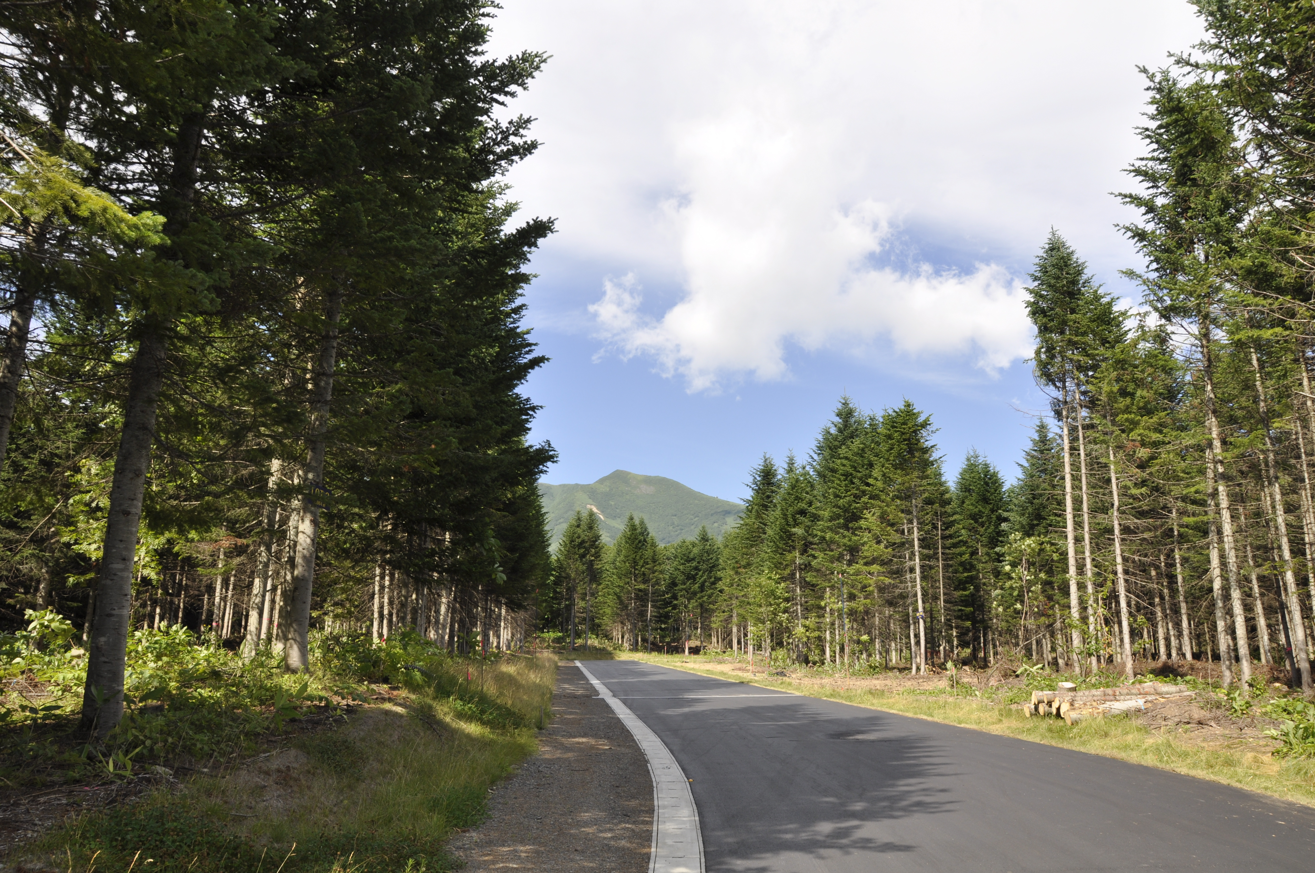 Niseko Annupuri Residences: Lots 9 & 10