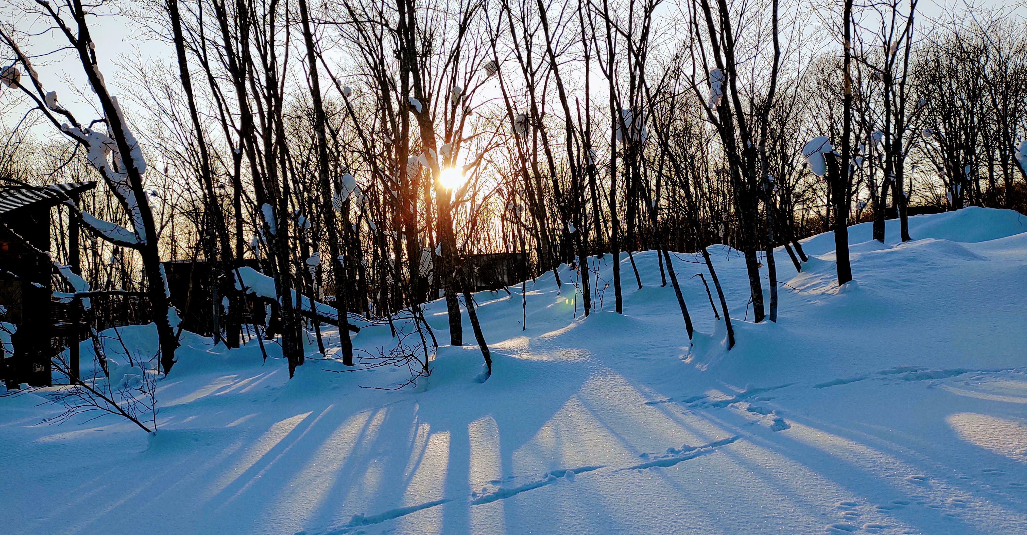 Niseko Soga 121 -> Price Drop