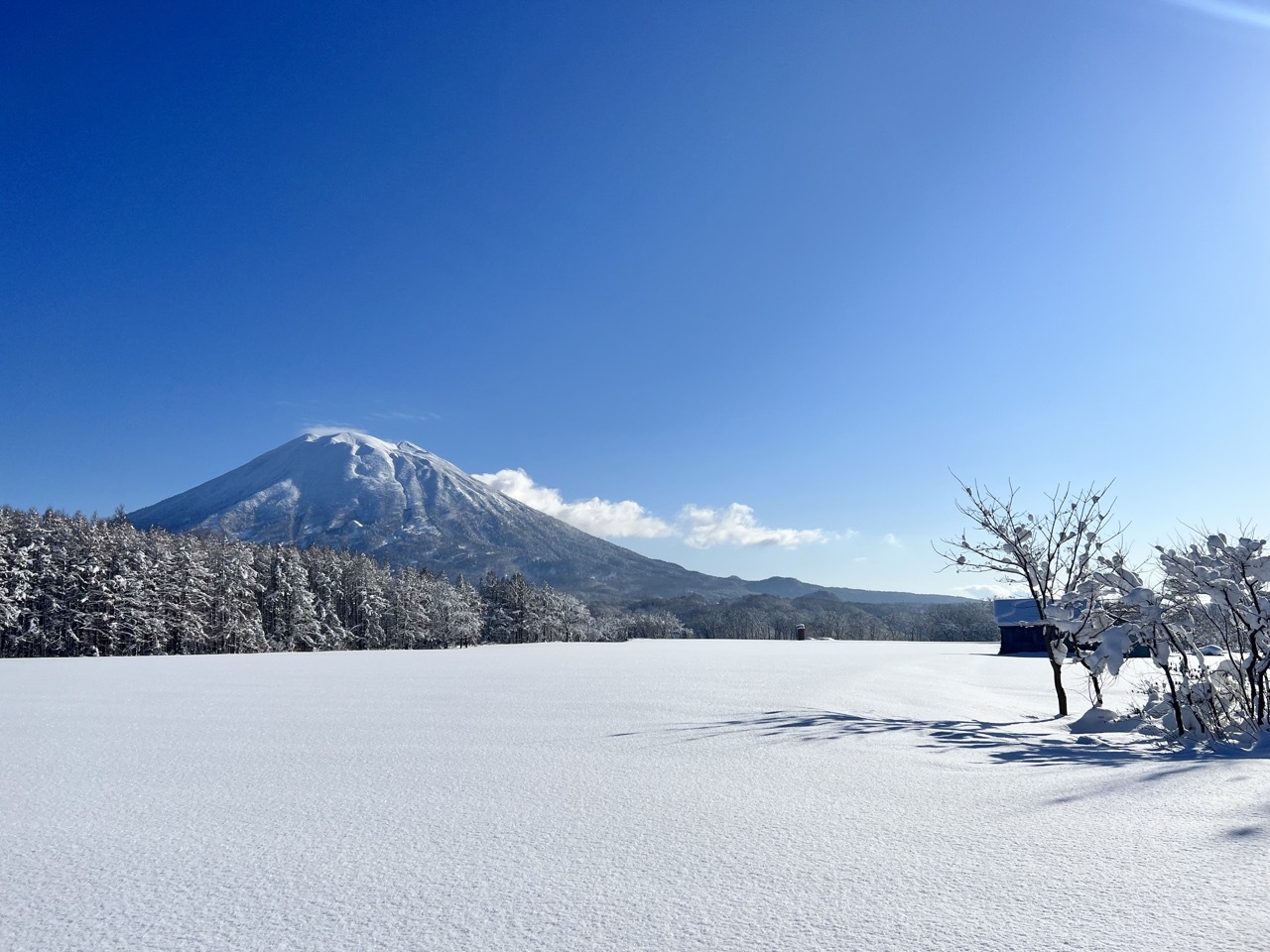 Kabayama Holiday Cottages with Magnificent Yotei Views