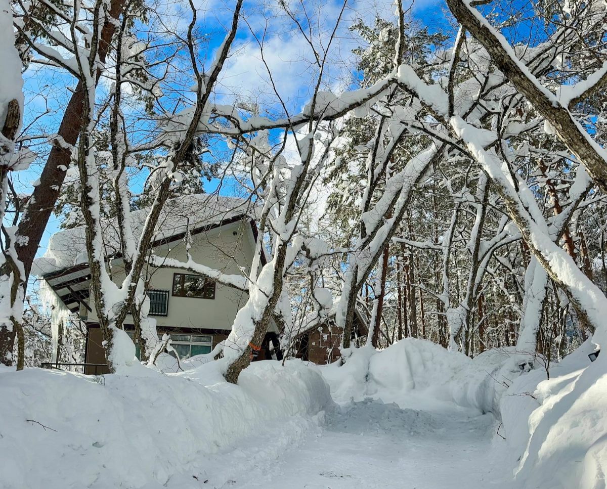 Renovated Cottage in Misorano