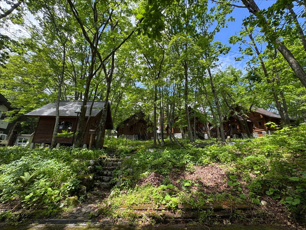 Log-Chalet Compound – Hakuba Goryu Ski Resort, Nagano
