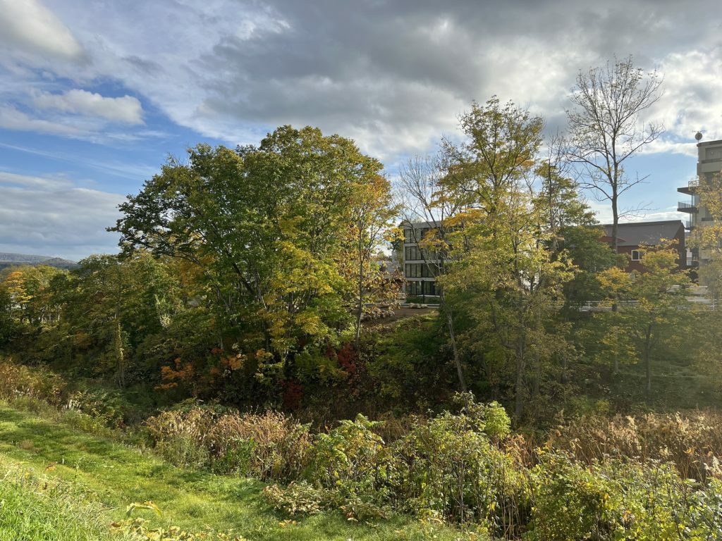 Middle Hirafu Creekside Land Lot B