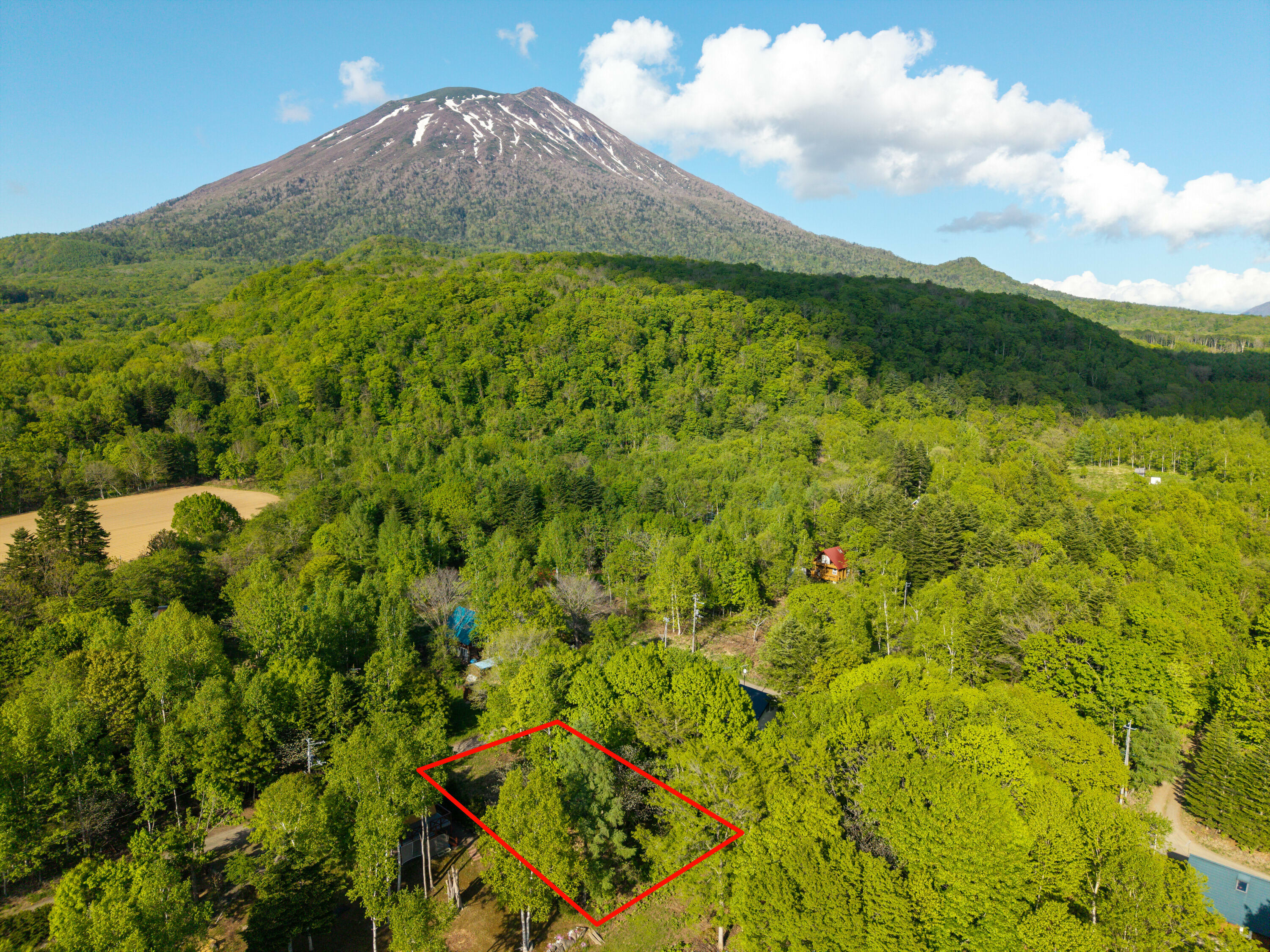 Kondo Neighborhood 200 Tsubo