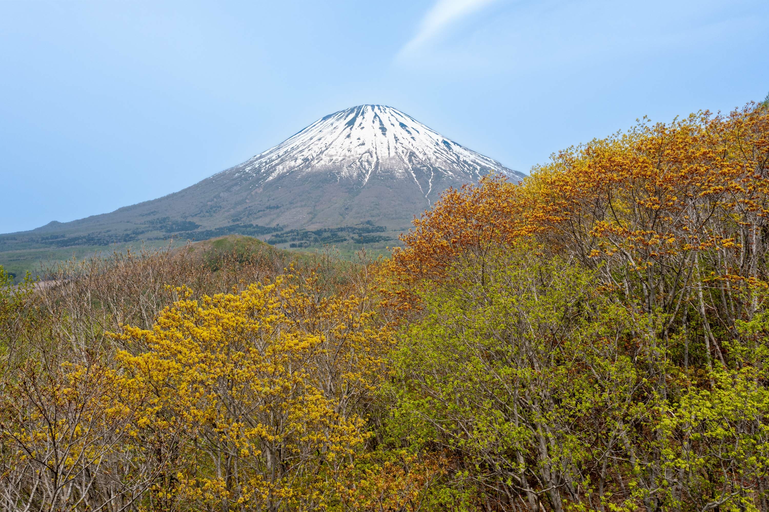 Makkari Hill with Sensational Views
