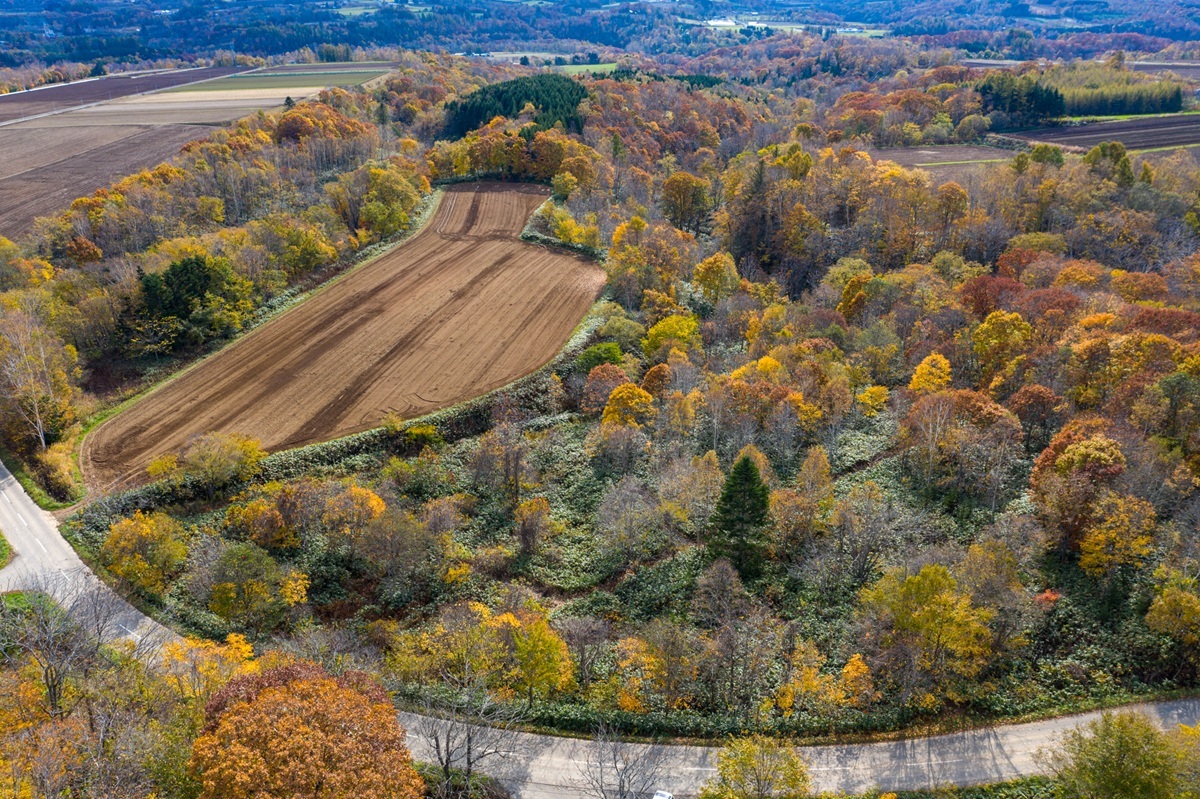 Premium Large Block with Stunning Views and Natural Beauty