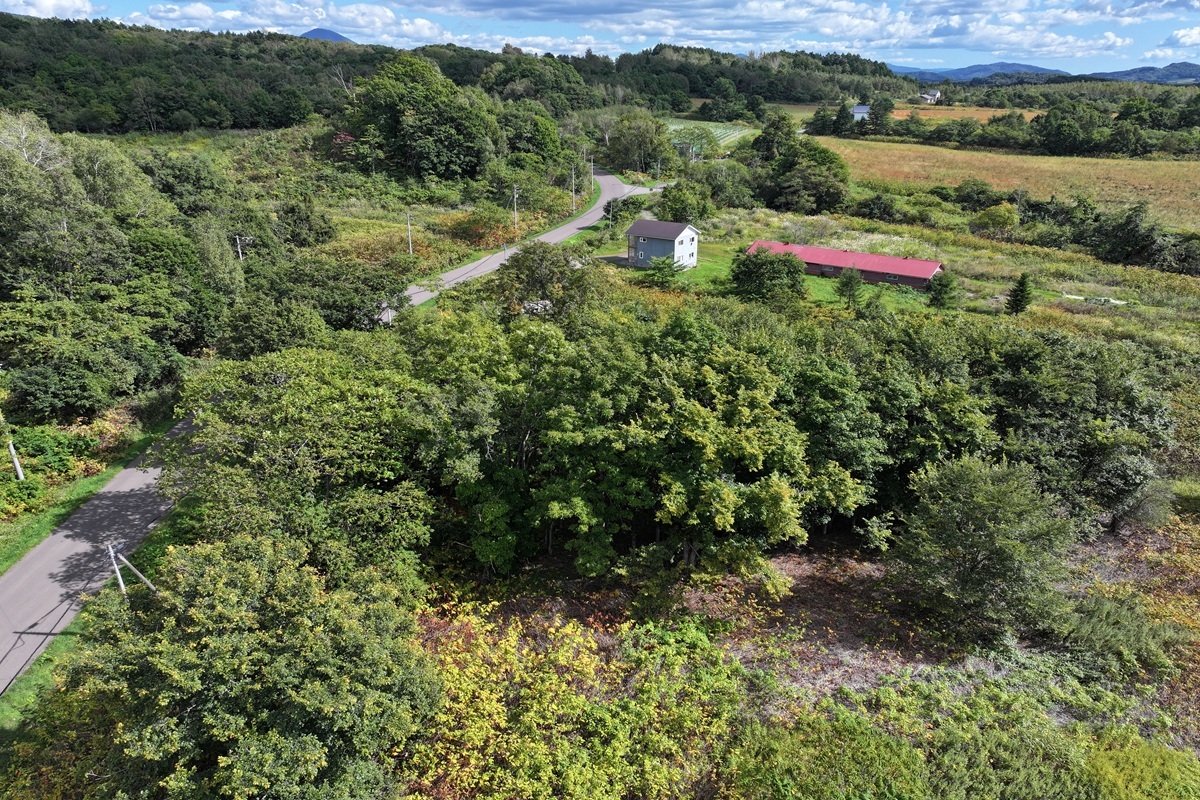 Yotei Views in Kondo