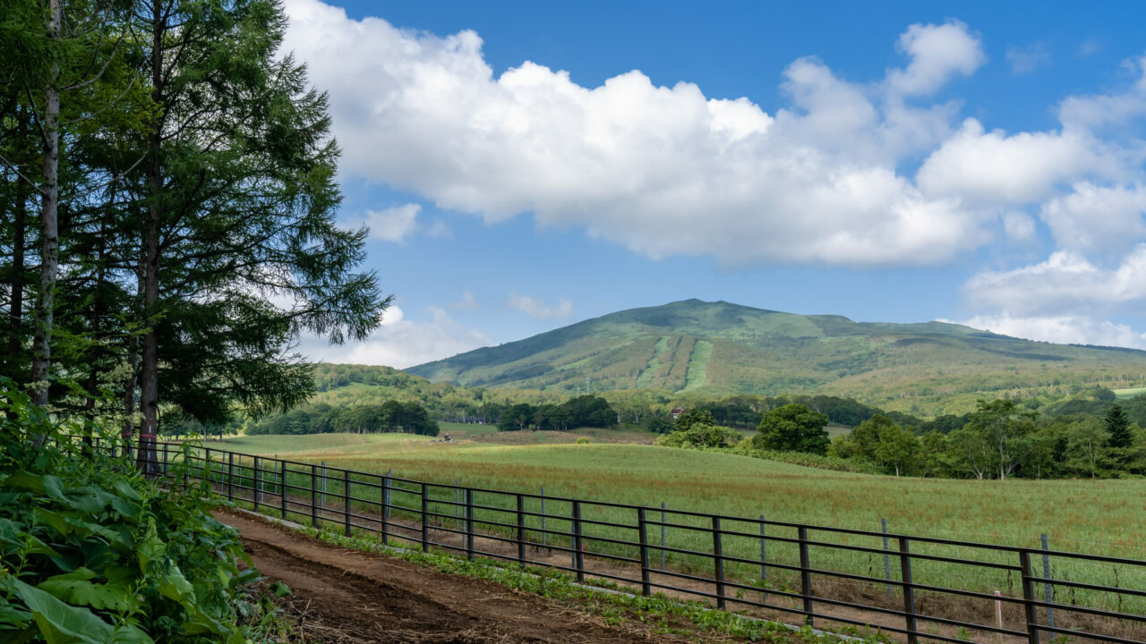 KABA® Niseko Lot 16