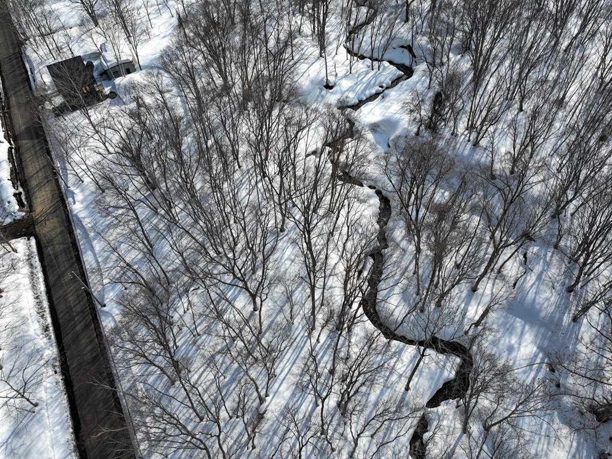 Rare Onsen-Connected Land in Moiwa