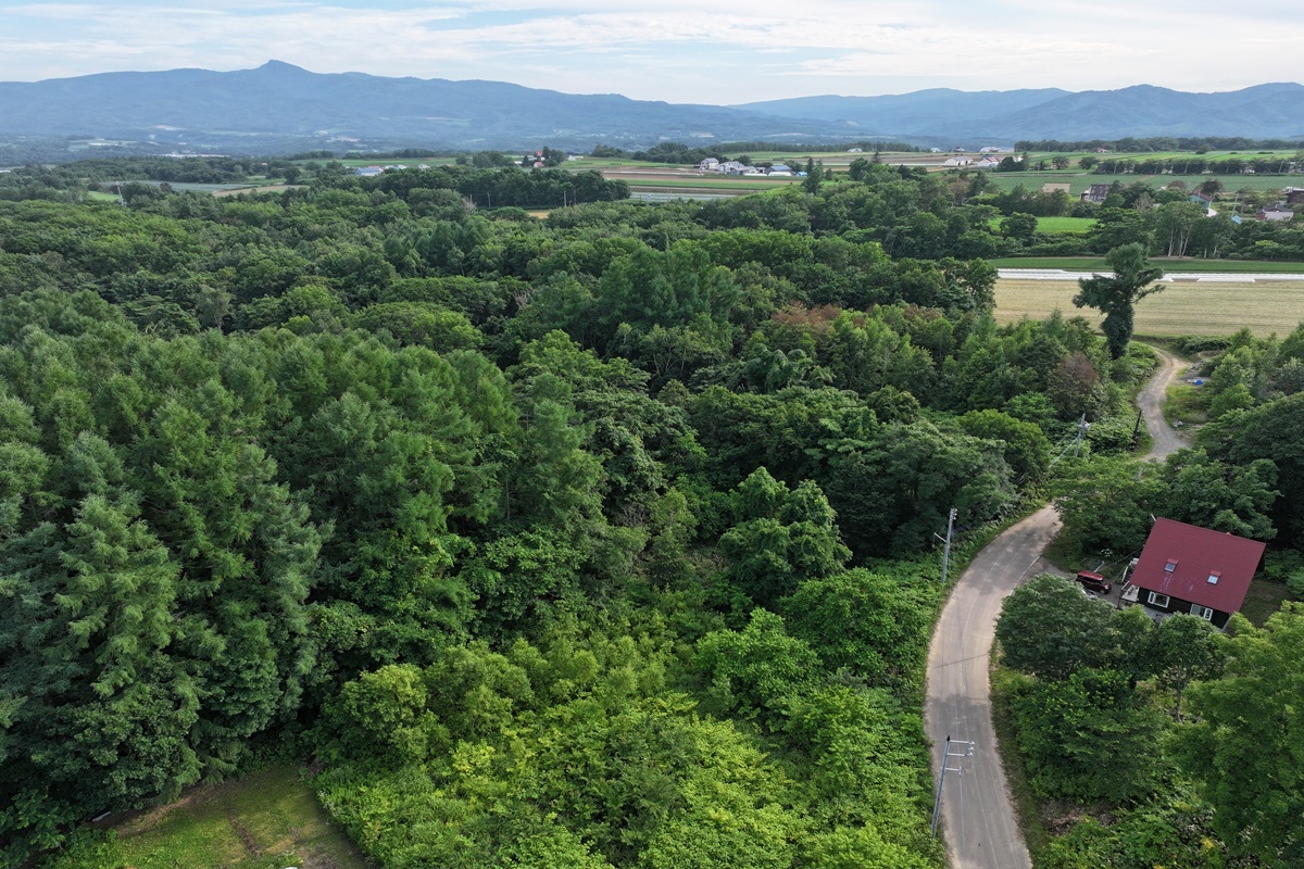Premium Large Land Parcel – Between Annupuri & Niseko Village