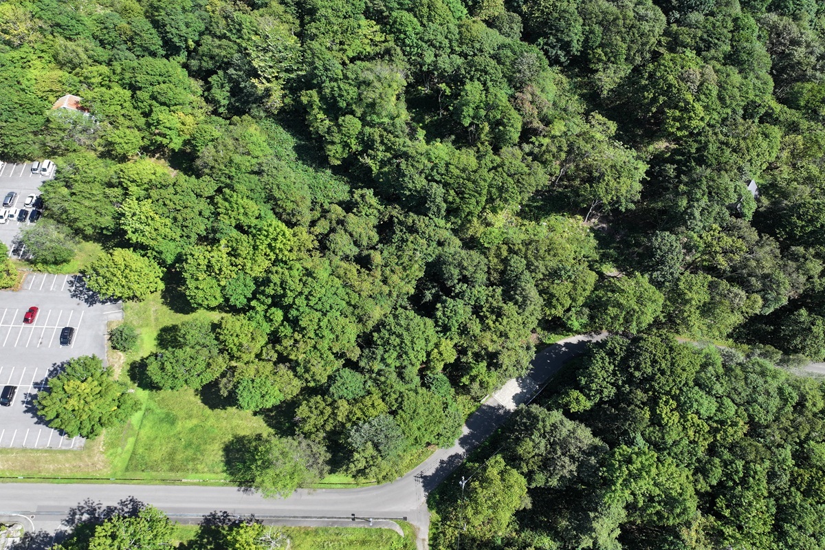 Exceptional Land Offering – Steps from Moiwa Ski Field